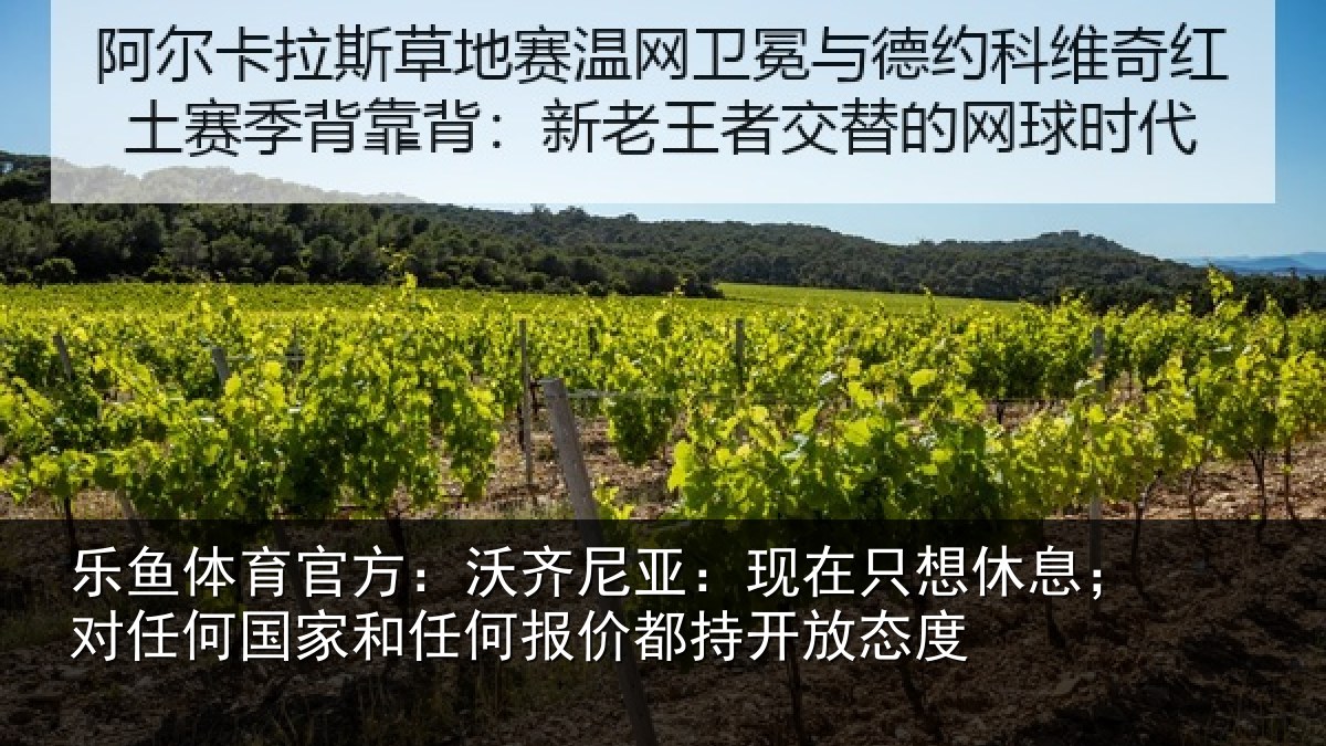 乐鱼体育官方：沃齐尼亚：现在只想休息；对任何国家和任何报价都持开放态度