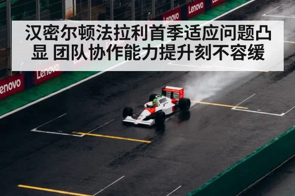 Lewis Hamilton racing